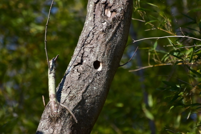 1-1-DSC_7914.JPG