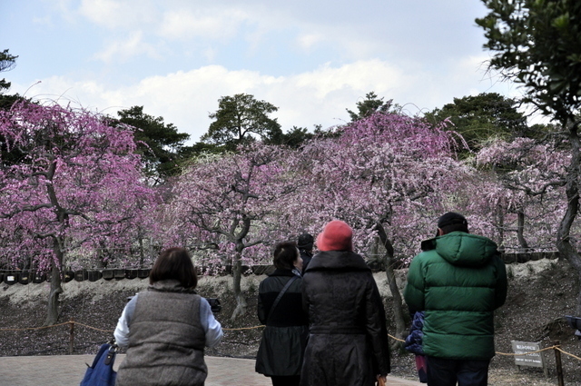 1-1-_DSC0016.JPG