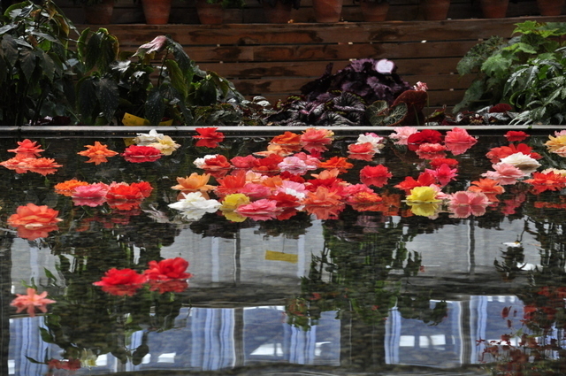 1-1-_DSC0175.JPG