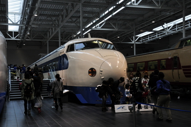 1-1-_DSC0220.JPG