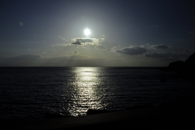 1-1-_DSC0249.JPG