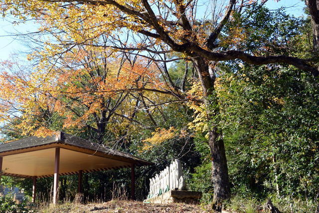 1-DSC_3211.JPG