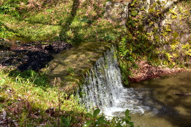 1-DSC_3772.JPG