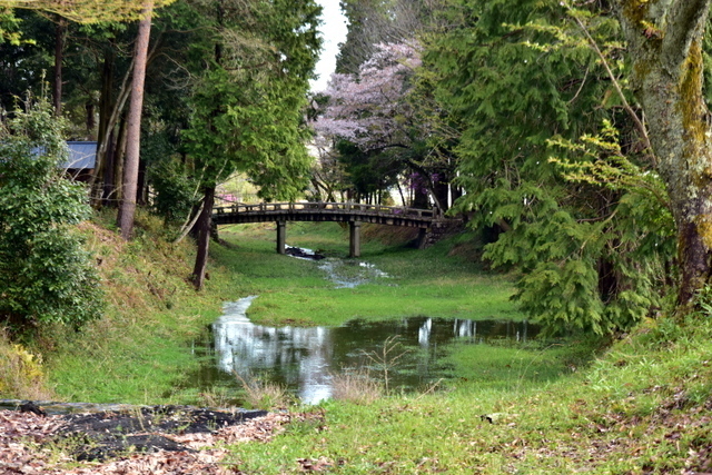 1-DSC_3778.JPG
