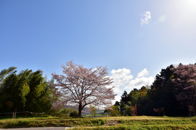 1-DSC_3826.JPG