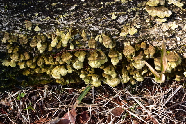 1-DSC_3844.JPG