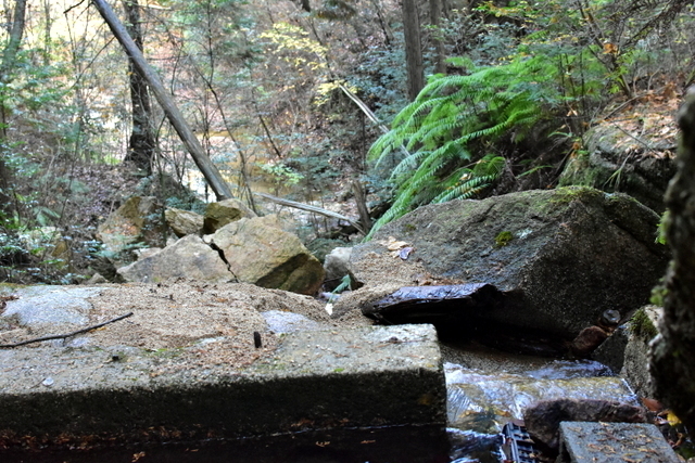 1-DSC_3882.JPG