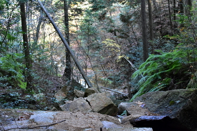 1-DSC_3884.JPG