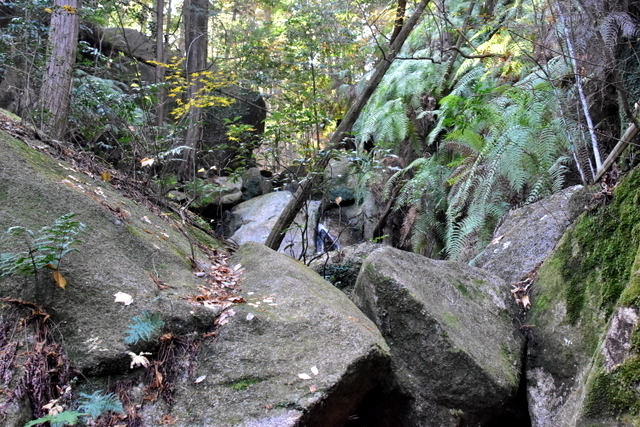 1-DSC_3888.JPG
