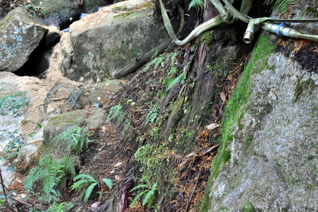 1-DSC_3893.JPG
