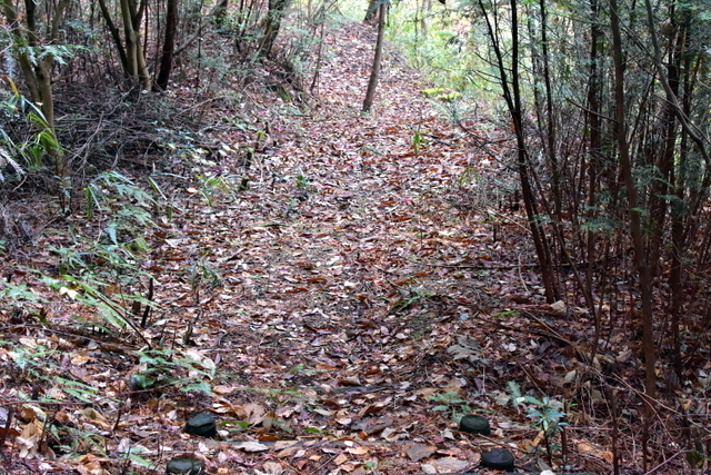 1-DSC_3897.JPG