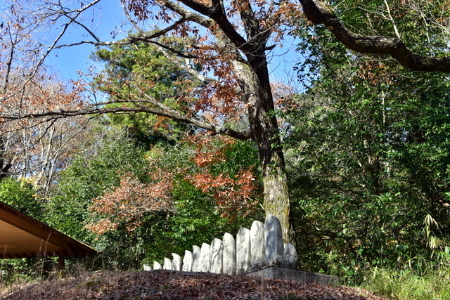 1-DSC_3908.JPG