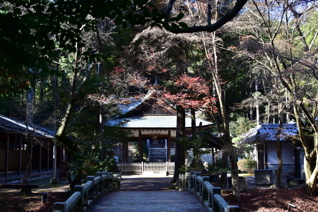 1-DSC_3910.JPG