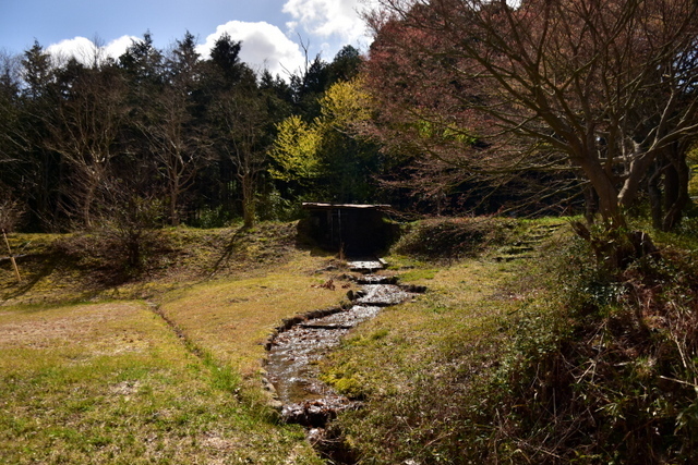 1-DSC_3978.JPG
