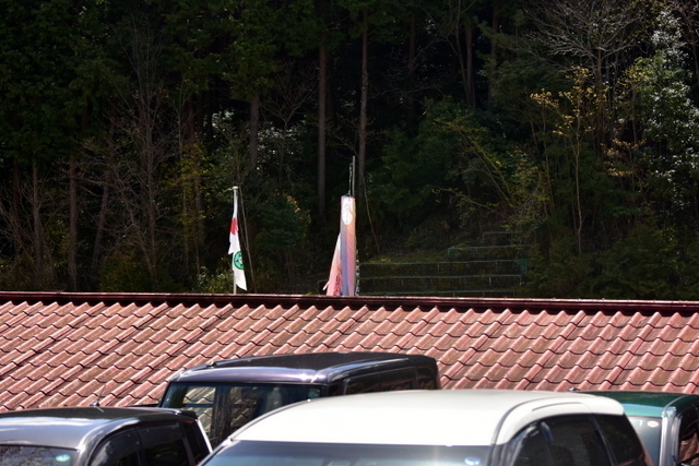 1-DSC_4098.JPG