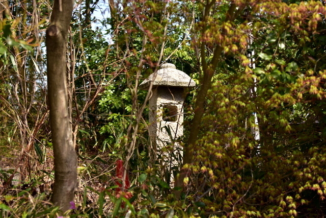 1-DSC_4100.JPG
