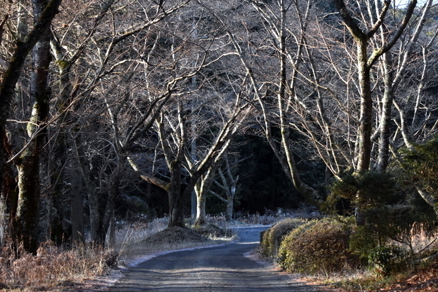 1-DSC_9469.JPG
