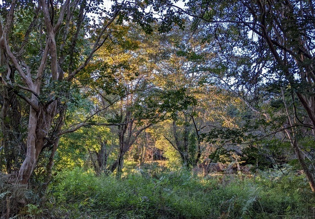 1-PXL_20221019_072255378.jpg