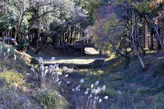 1-_DSC0036.JPG