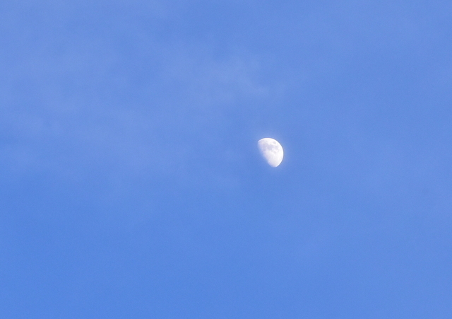 DSC_2861-001.JPG