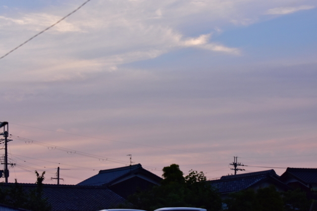 DSC_2864.JPG