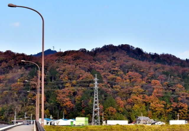 DSC_4273.JPG