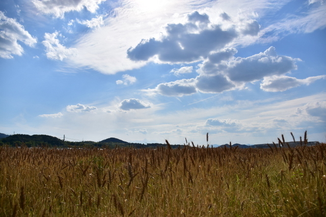 DSC_5526.JPG