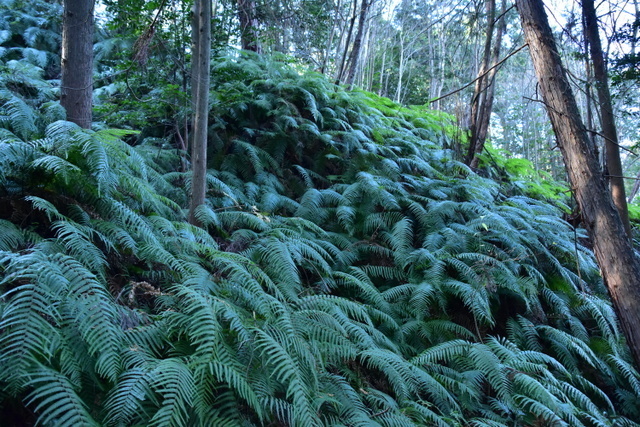 DSC_8253.JPG