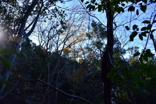 DSC_8264.JPG
