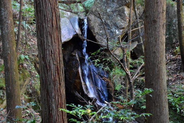 DSC_8270.JPG
