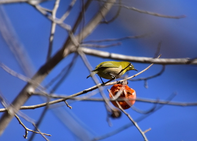 DSC_8316.JPG