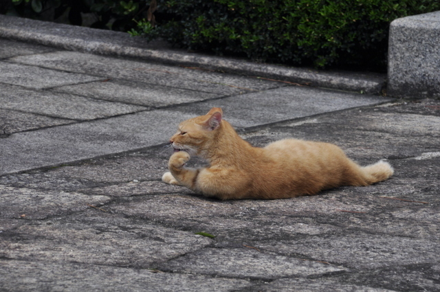 _DSC0034.JPG